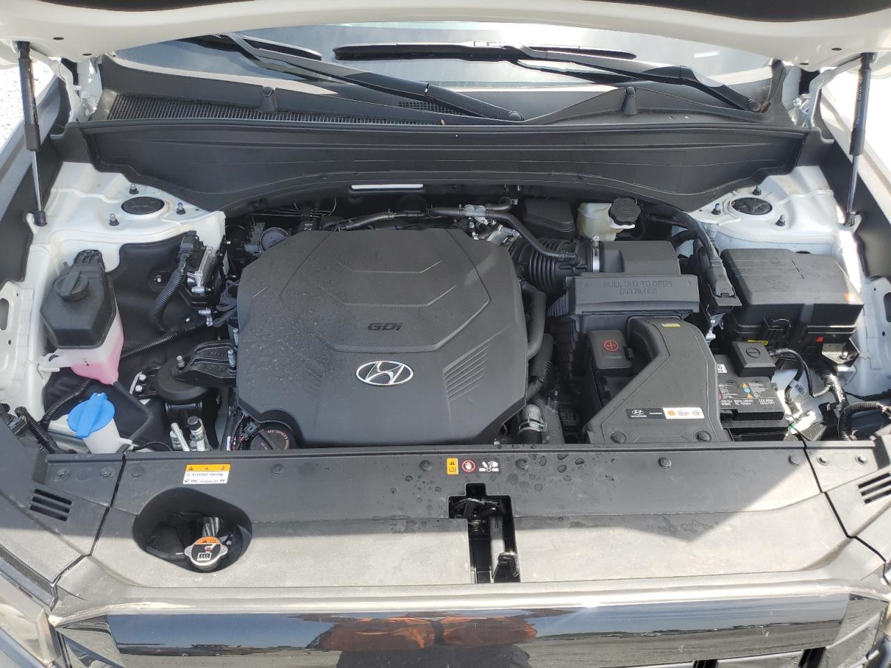 2025 Hyundai Palisade Calligraphy VIN: KM8R7DGE7SU873148 Lot: 57052415