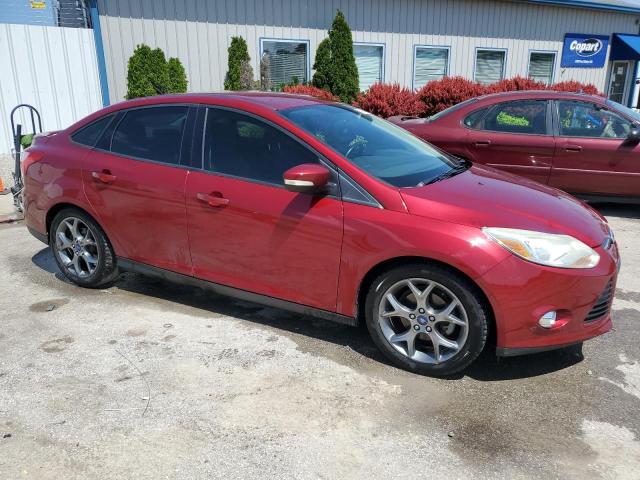  FORD FOCUS 2014 Czerwony