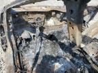 2019 Tesla Model 3    na sprzedaż w Wichita, KS - Burn