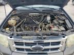 2010 Ford Escape Xls for Sale in Wilmer, TX - Front End