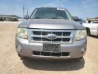 2008 Ford Escape Xlt للبيع في San Antonio، TX - Hail