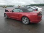 Glassboro, NJ에서 판매 중인 2014 Ford Mustang  - Front End