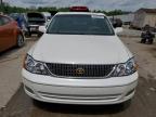 2001 Toyota Avalon Xl na sprzedaż w Louisville, KY - Hail