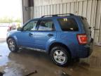 2009 Ford Escape Xlt de vânzare în Franklin, WI - Front End