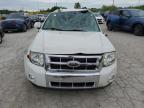 2009 Ford Escape Limited   for Sale in Indianapolis, IN - All Over
