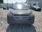 2014 Honda Cr-V Exl for Sale in Apopka, FL - Rear End