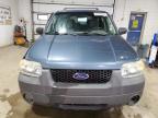 2005 Ford Escape Xlt იყიდება Blaine-ში, MN - Undercarriage