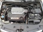 2011 Honda Accord Exl en Venta en New Britain, CT - Biohazard/Chemical