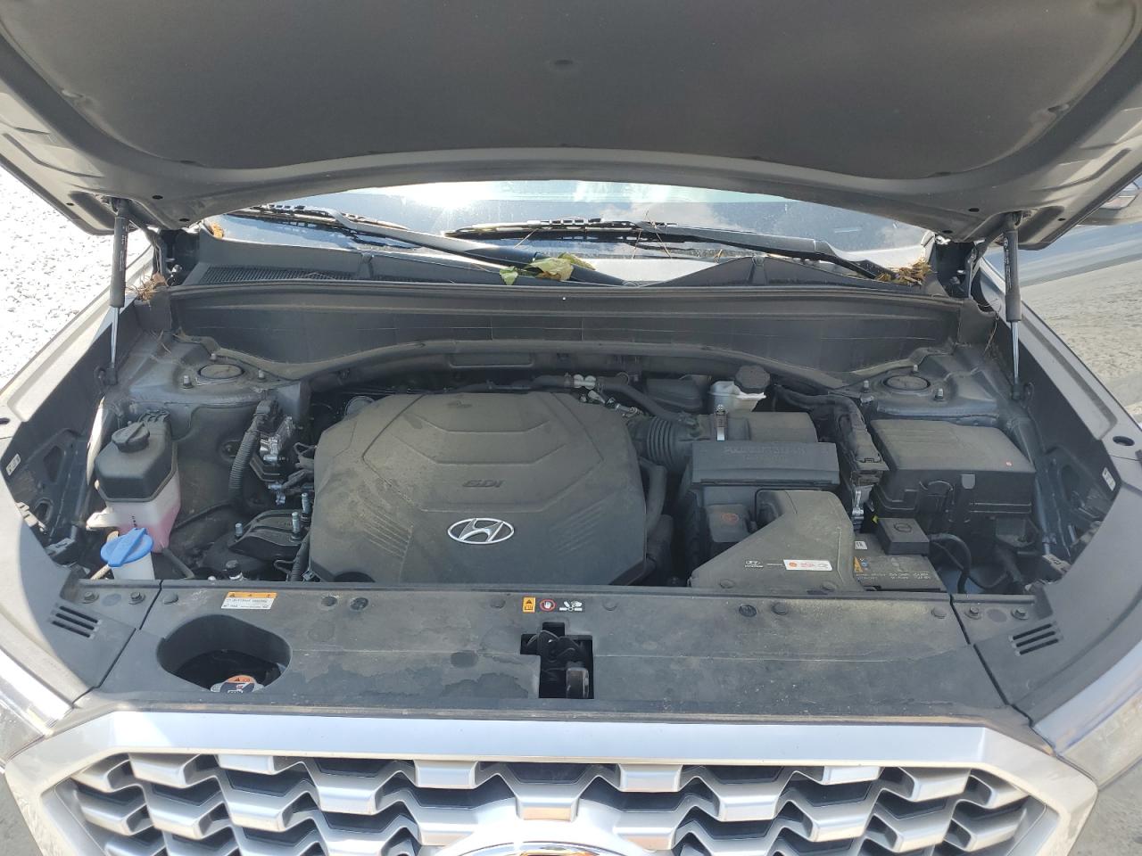 2021 Hyundai Palisade Sel VIN: KM8R44HE8MU325704 Lot: 57024505