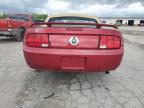 2005 Ford Mustang    for Sale in Indianapolis, IN - Front End