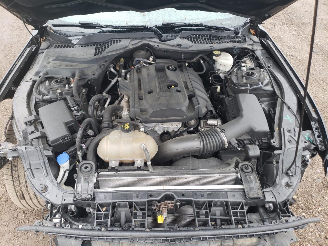1FA6P8TH0L5108427 FORD ALL Models 2020
