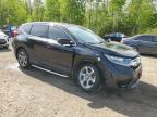2018 HONDA CR-V EX à vendre chez Copart ON - COOKSTOWN