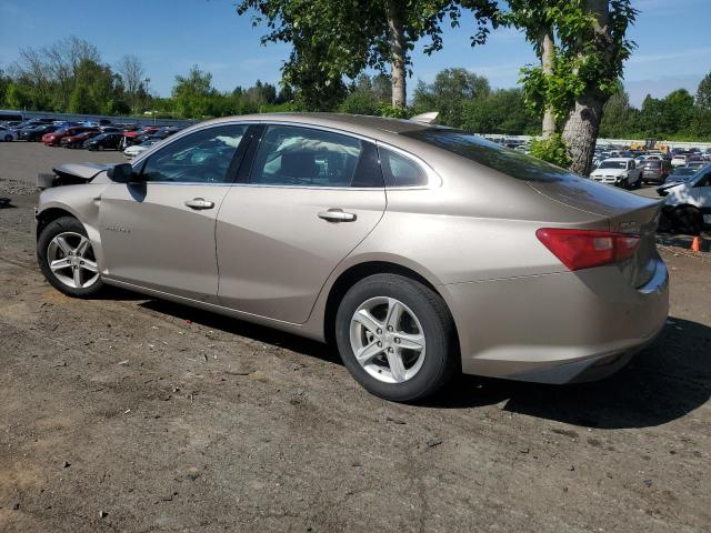  CHEVROLET MALIBU 2023 Beige
