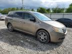 2011 Honda Odyssey Exl for Sale in Walton, KY - Front End