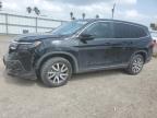 2020 Honda Pilot Ex for Sale in Mercedes, TX - All Over