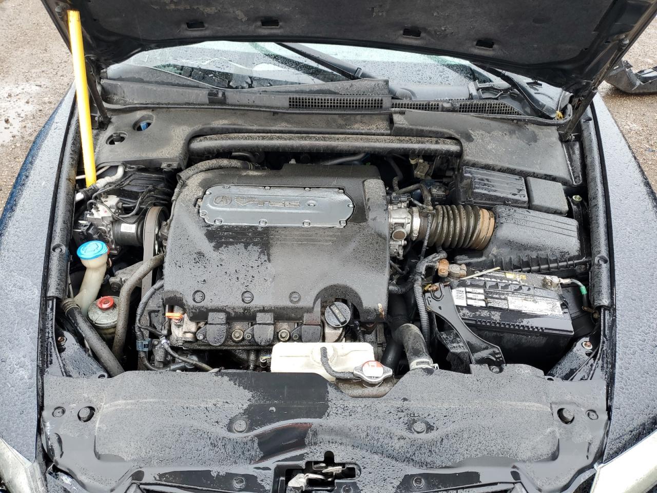 2004 Acura Tl VIN: 19UUA66234A067977 Lot: 54883025