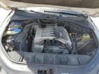 2008 Audi Q7 3.6 Quattro Premium на продаже в West Palm Beach, FL - Hail