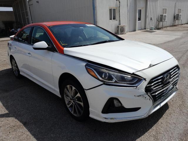 5NPE24AF2JH661933 - 2017 Hyundai sonata - #58691305