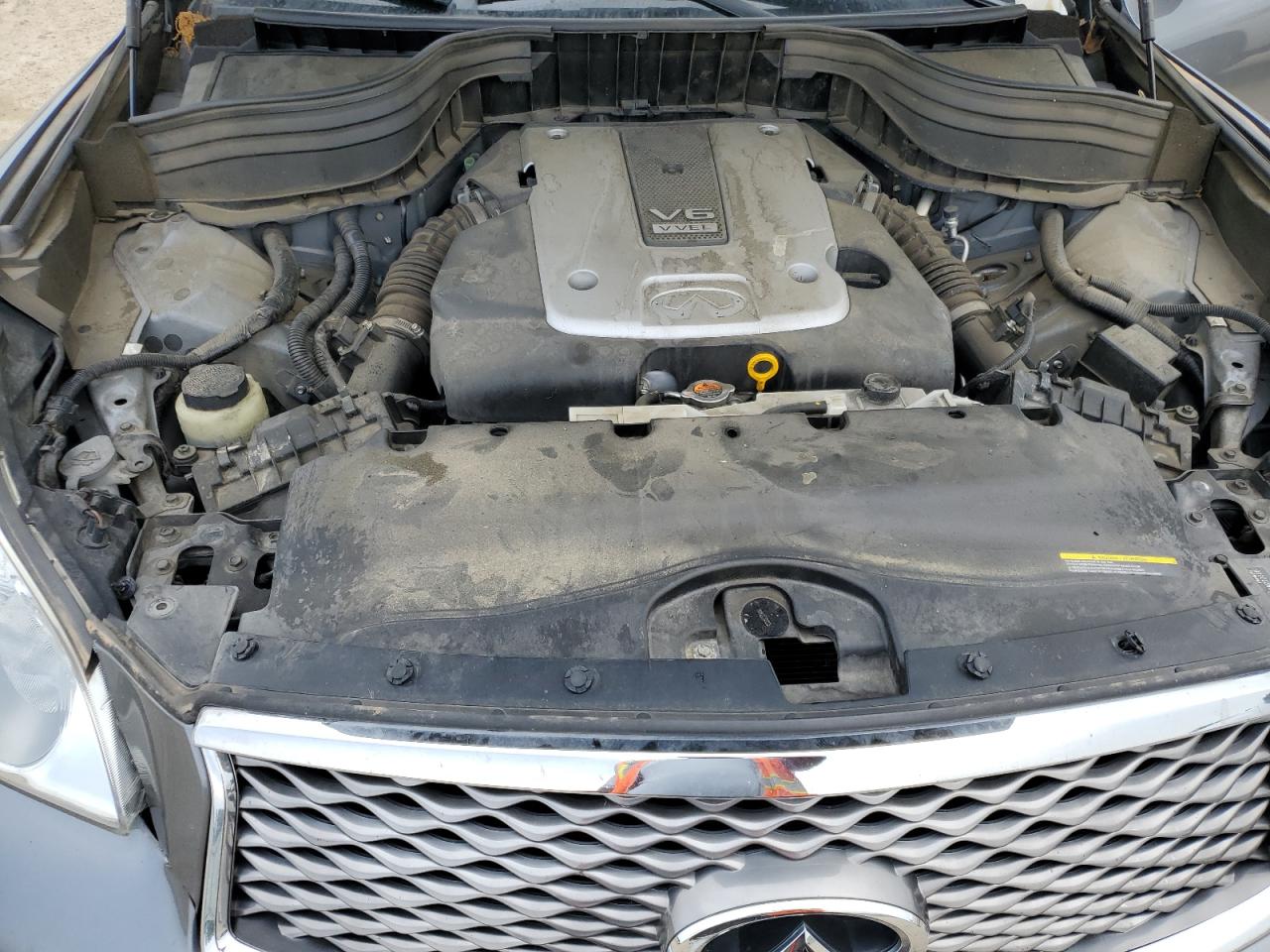 2016 Infiniti Qx50 VIN: JN1BJ0RPXGM233668 Lot: 57156065
