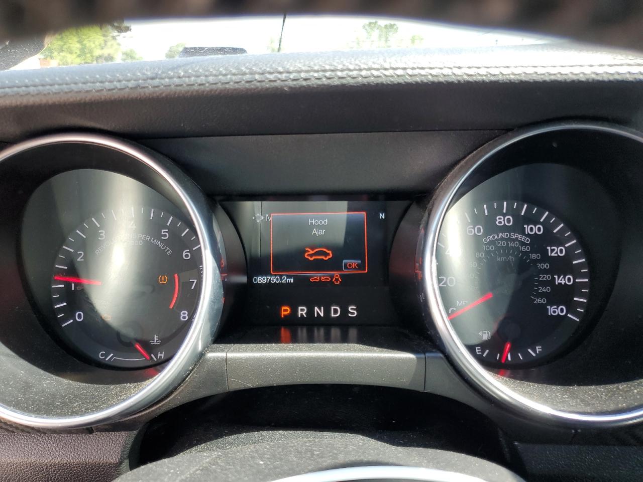 1FA6P8THXK5129218 FORD ALL Models 2019