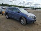 2013 Honda Cr-V Exl   for Sale in Conway, AR - Side
