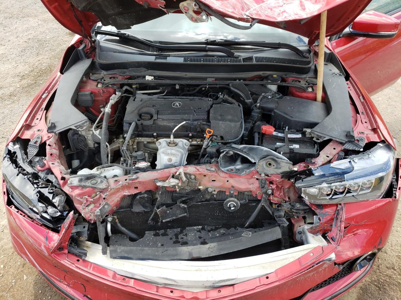 2020 Acura Tlx Technology VIN: 19UUB1F68LA800543 Lot: 58351955