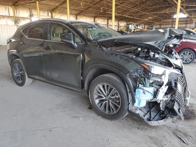  LEXUS NX 250 2023 Зеленый