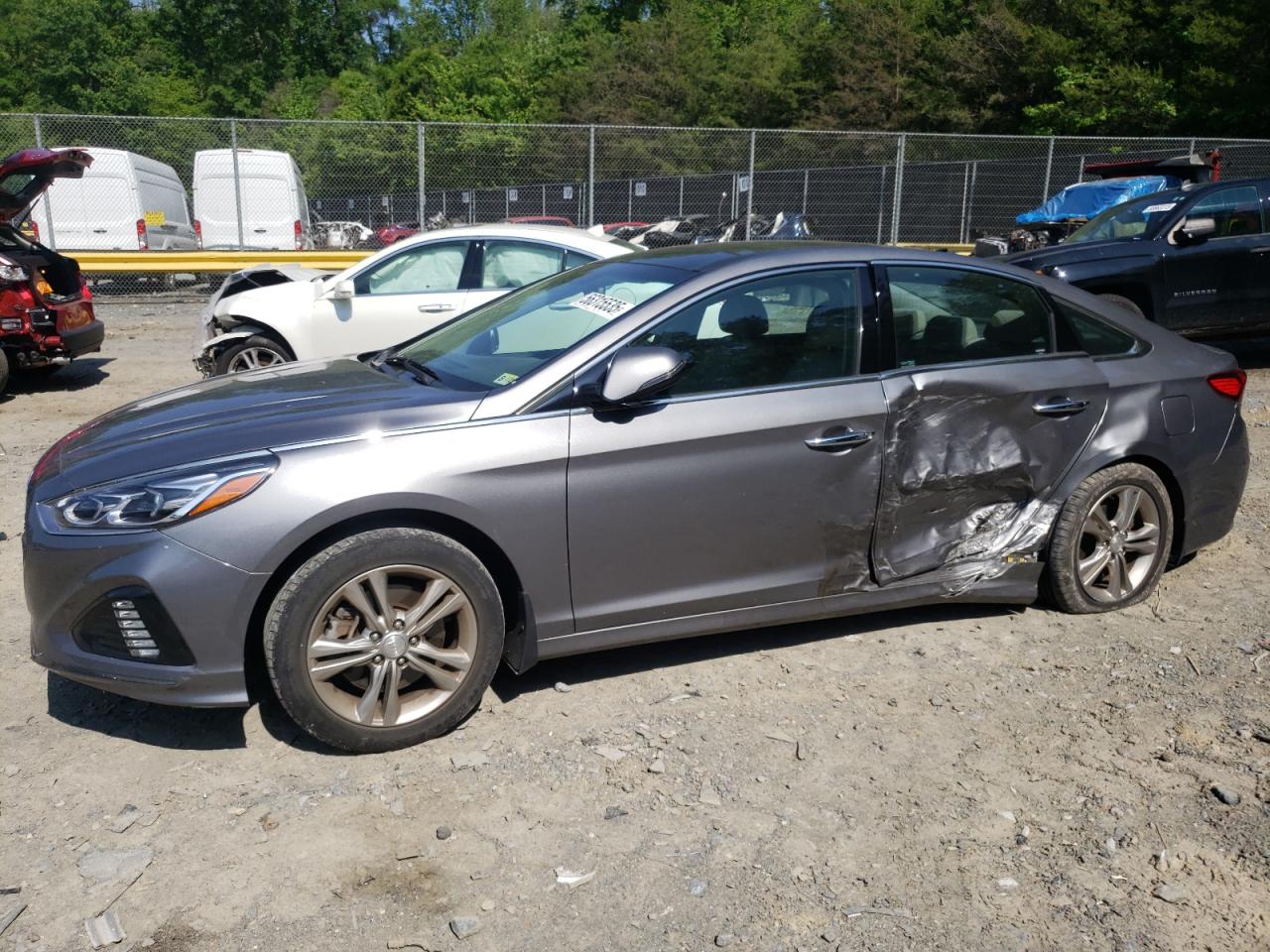 2019 Hyundai Sonata Limited на продаже в Waldorf, MD - Side