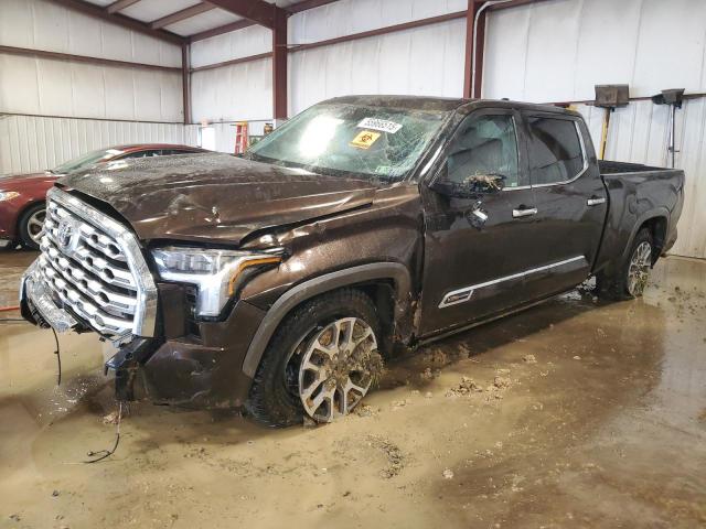  TOYOTA TUNDRA 2022 Brown
