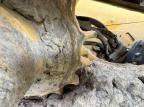 2023 Caterpillar                 289D3 for Sale in Orlando, FL - Mechanical