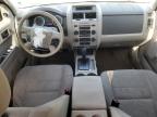 2011 Ford Escape Xlt   for Sale in Wichita, KS - Front End