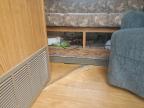 2007 Wildcat Wildwood for Sale in Waldorf, MD - Water/Flood