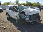 2011 Ford Escape Limited للبيع في New Britain، CT - Front End