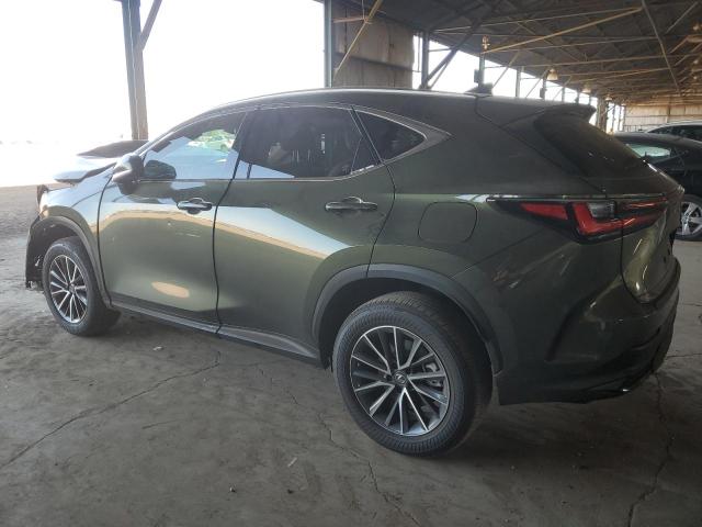 LEXUS NX 250 2023 Зеленый