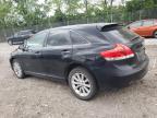 2009 Toyota Venza  for Sale in Cicero, IN - Front End