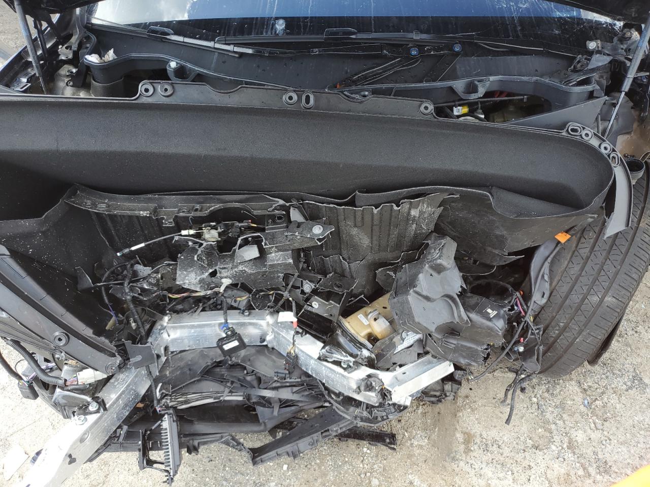 2024 Tesla Model X VIN: 7SAXCBE59RF440614 Lot: 56702575