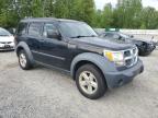 2007 Dodge Nitro Sxt zu verkaufen in Arlington, WA - Front End