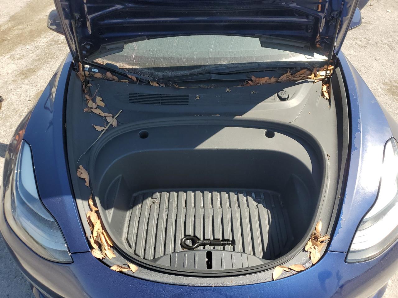 2023 Tesla Model 3 VIN: 5YJ3E1EA4PF447125 Lot: 57049045