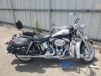 2003 Harley-Davidson Flstci Anniversary for Sale in Littleton, CO - Front End