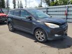 2013 Ford Escape Sel for Sale in Miami, FL - Front End