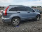 2007 Honda Cr-V Lx იყიდება Earlington-ში, KY - Hail
