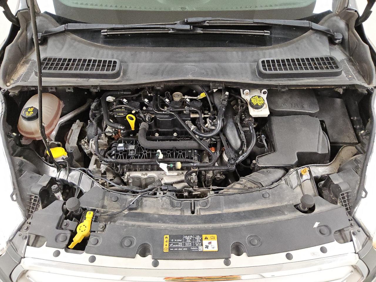 1FMCU0GD8KUB64422 FORD ESCAPE 2019