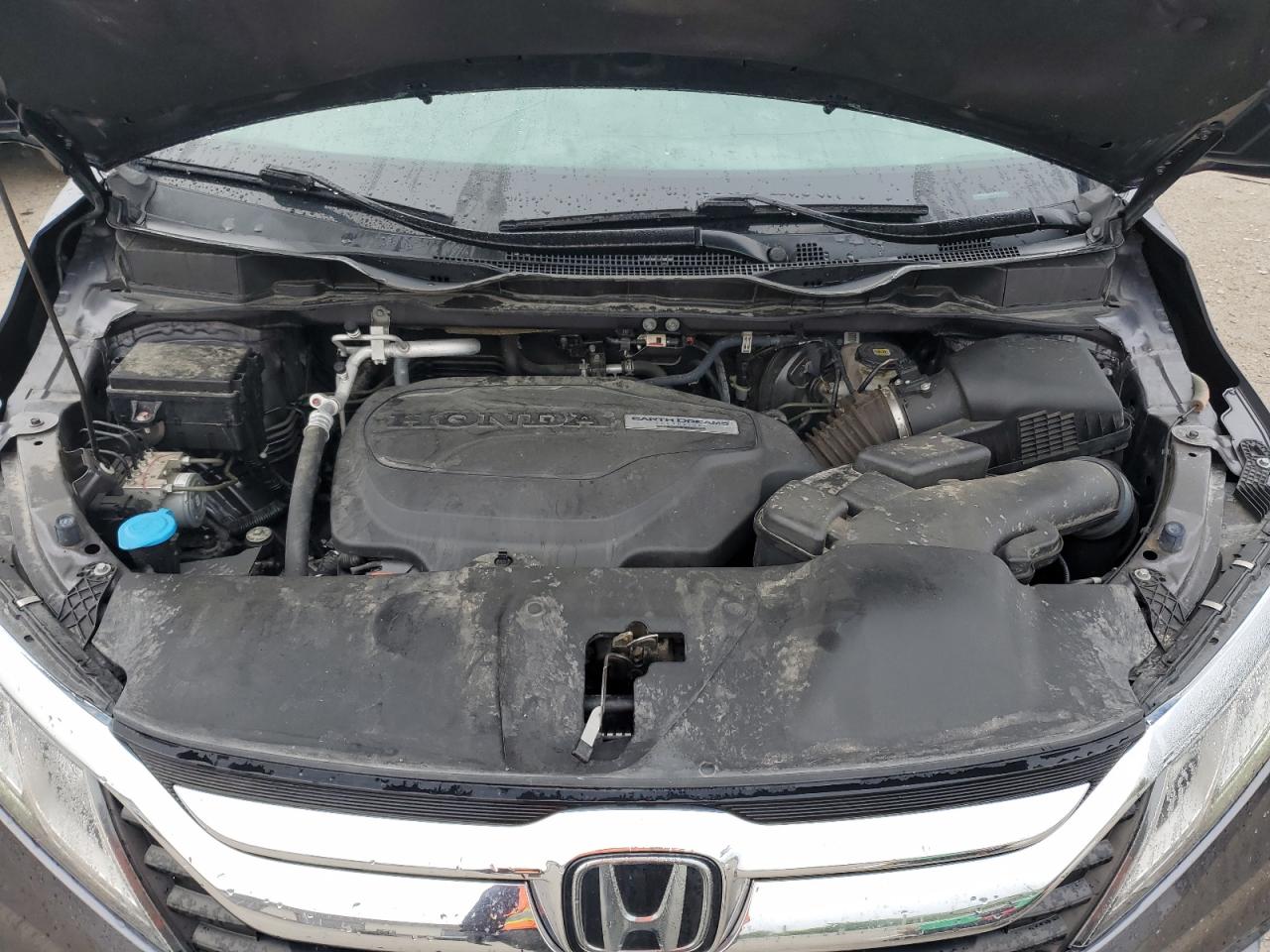 5FNRL6H72LB001496 HONDA All Models 2020