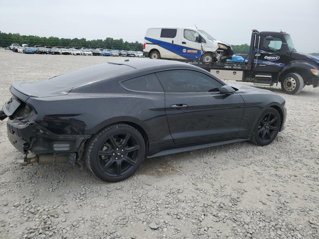 1FA6P8TH4L5103795 FORD ALL Models 2020