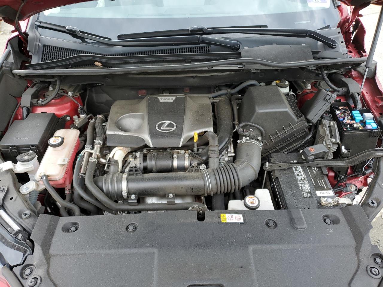 2020 Lexus Nx 300 VIN: JTJGARDZ6L2218815 Lot: 55923925
