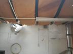 2010 United Trailer იყიდება West Mifflin-ში, PA - Top/Roof