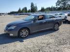 2010 Lexus Es 350 for Sale in Graham, WA - Rear End