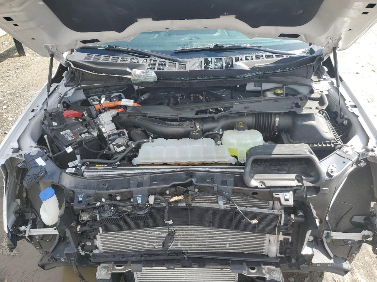 2024 Ford F150 Xlt VIN: 1FTFW3LD5RFA49813 Lot: 57951165