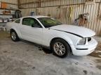 2006 Ford Mustang    للبيع في Abilene، TX - Front End
