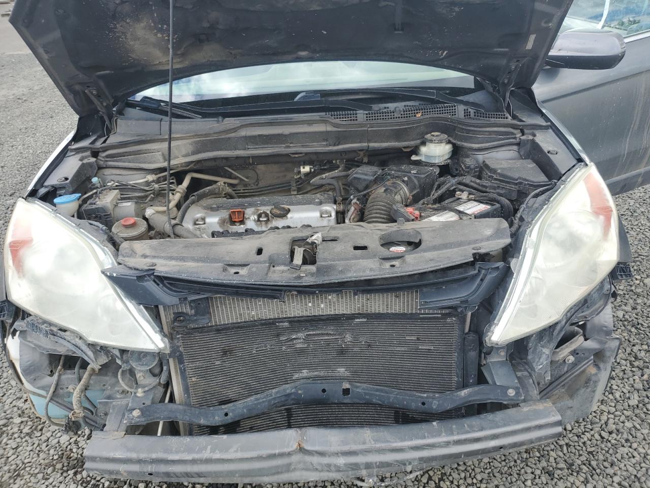 2010 Honda Cr-V Exl VIN: 5J6RE4H76AL063938 Lot: 56368515